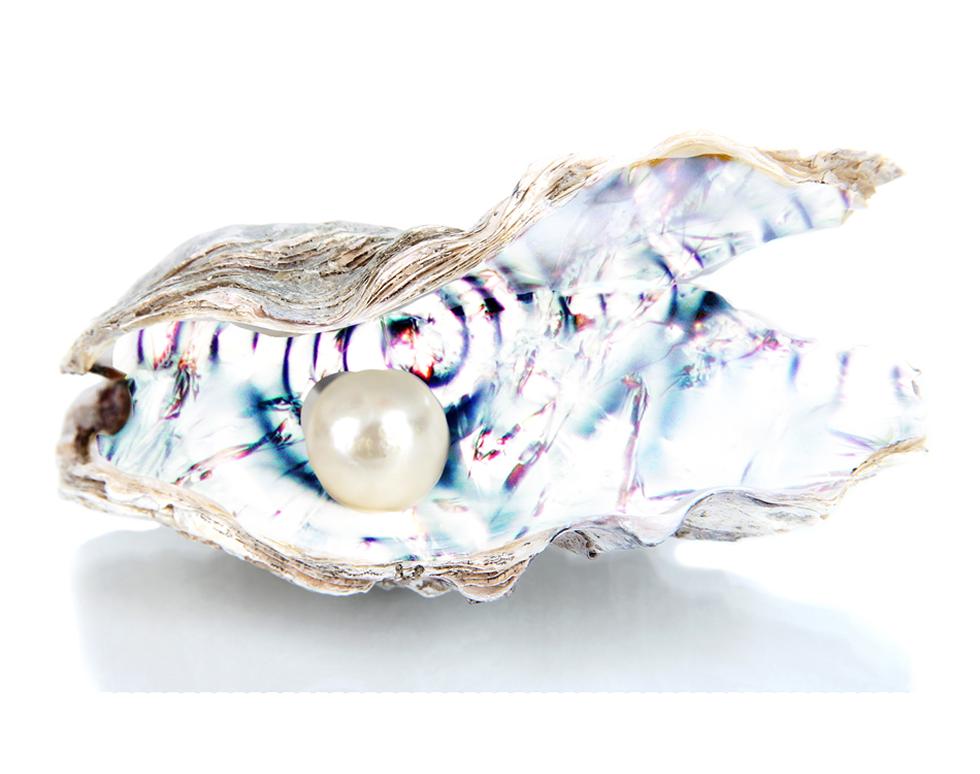 HEPES Oyster - Nazira Albargothy